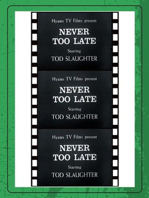 It's Never Too Late to Mend's poster