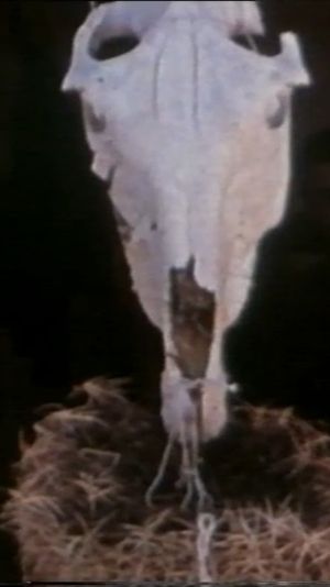 Goreme's poster