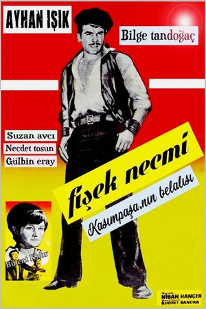 Fisek Necmi's poster