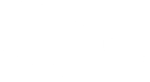 Sonic Christmas Blast's poster