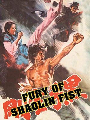 Fury of Shaolin Fist's poster