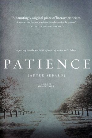 Patience's poster
