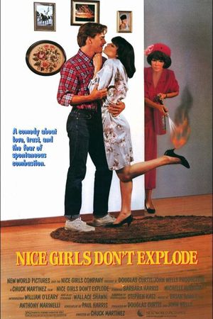 Nice Girls Don't Explode's poster
