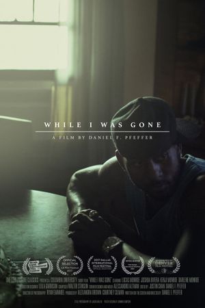 While I Was Gone's poster