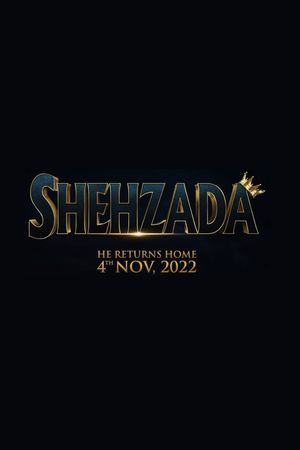 Shehzada's poster