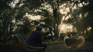 Beautiful Boy's poster