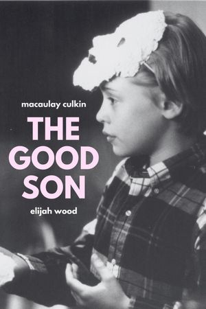 The Good Son's poster