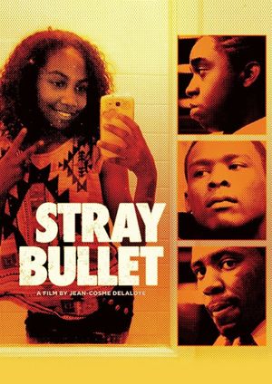 Stray Bullet's poster