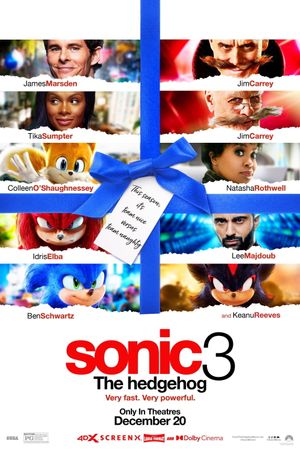 Sonic the Hedgehog 3's poster