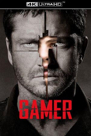 Gamer's poster