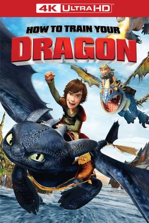 How to Train Your Dragon's poster