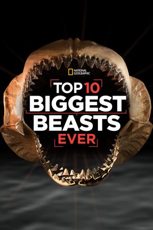 Top 10 Biggest Beasts Ever's poster