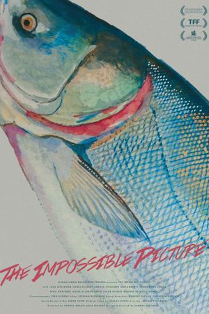 The Impossible Picture's poster