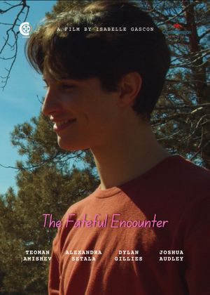 The Fateful Encounter's poster