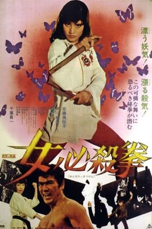 Sister Street Fighter's poster