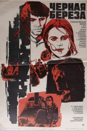 Black Birch's poster