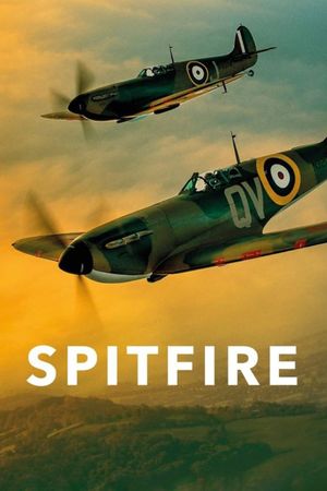 Spitfire's poster