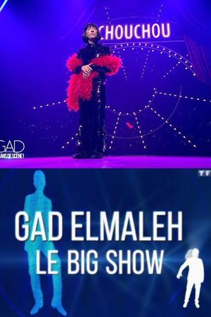 Gad Elmaleh - Le Big Show's poster