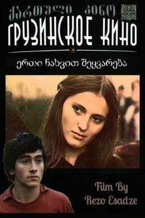 Erti nakhvit shekvareba's poster