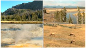 World Natural Heritage USA: Yellowstone National Park's poster