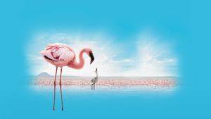 The Crimson Wing: Mystery of the Flamingos's poster