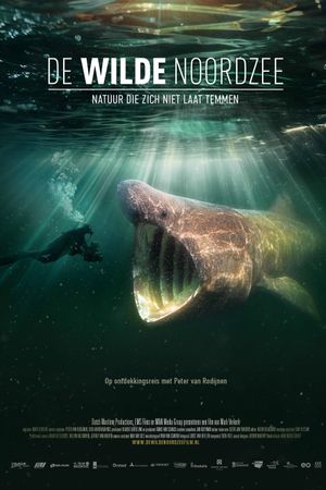 De wilde Noordzee's poster