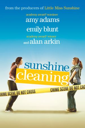 Sunshine Cleaning's poster
