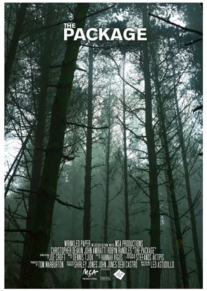 The Package's poster