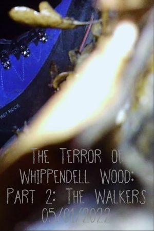 The Terror of Whippendell Wood: Part 2: The Walkers's poster