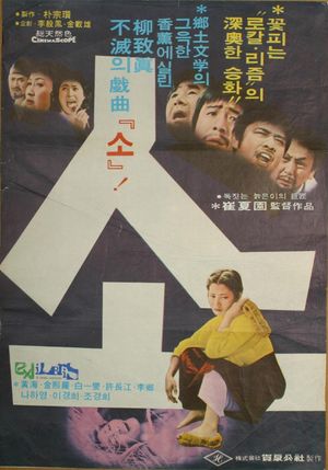 Cattle's poster
