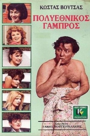 Πολυεθνικός γαμπρός's poster