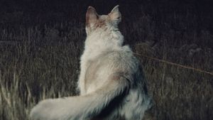It Comes at Night's poster