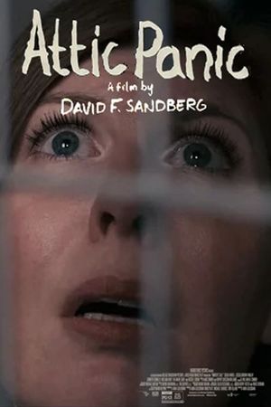 Attic Panic's poster