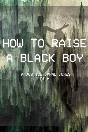 How to Raise a Black Boy's poster