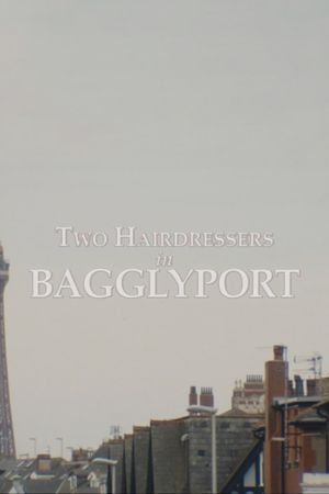 Two Hairdressers in Bagglyport's poster