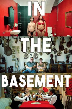 In the Basement's poster