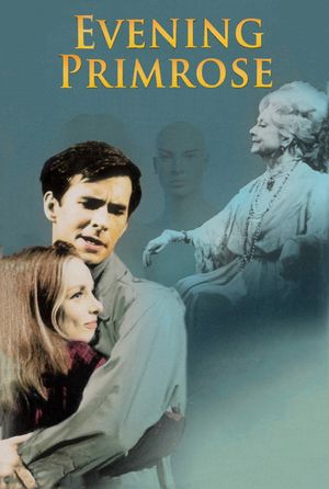 Evening Primrose's poster