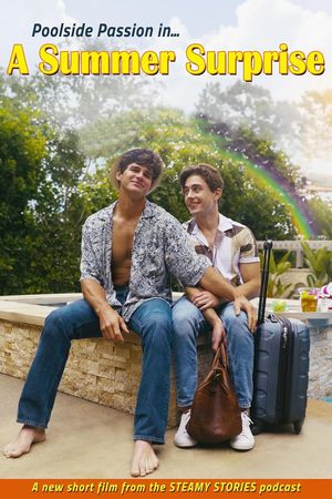 A Summer Surprise's poster