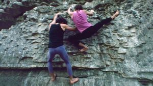 The Nicole Brothers, Born To Climb's poster