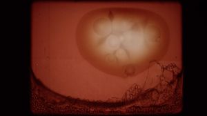 Nitrate's poster