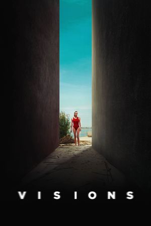 Visions's poster