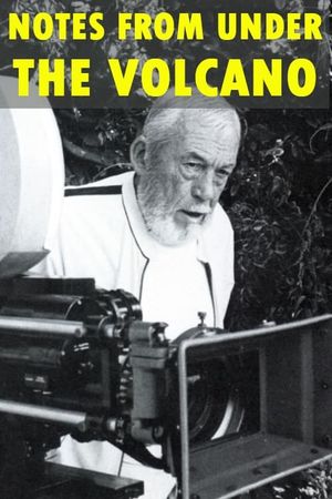 Notes from Under the Volcano's poster