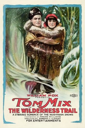 The Wilderness Trail's poster
