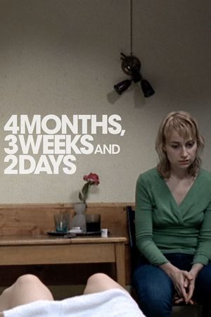 4 Months, 3 Weeks and 2 Days's poster
