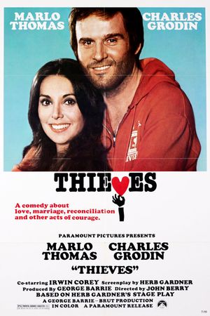 Thieves's poster