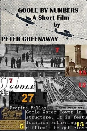 Goole by Numbers's poster