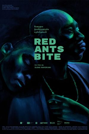 Red Ants Bite's poster