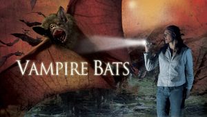 Vampire Bats's poster