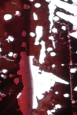 Traces's poster