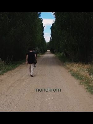 Monokrom's poster
